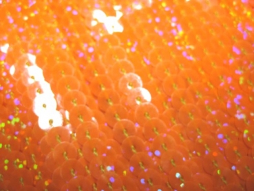 Paillettenband Neon Holo orange einreihig 1